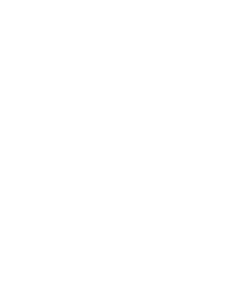 immigrationangels.com